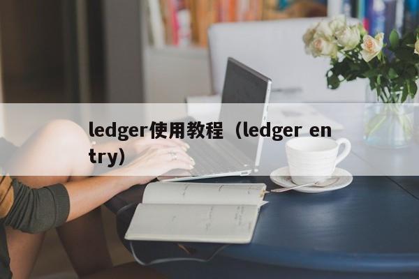 ledger使用教程（ledger entry）