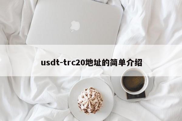 usdt-trc20地址的简单介绍